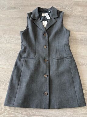 Aritzia Mastermind Dress